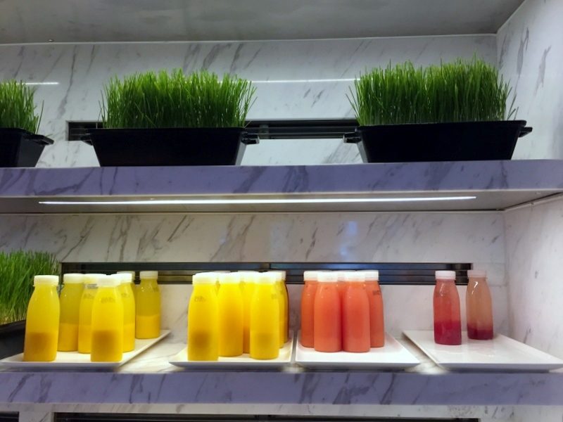 The Healthy Sequence to Eating at Buffets – CECYLIA.com The Healthy Sequence to Eating at Buffets – CECYLIA.com