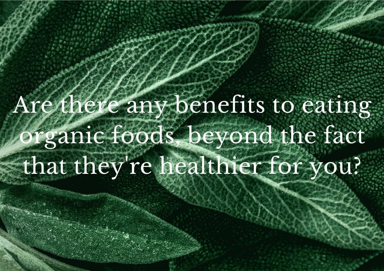 Food Facts: Everything you need to know about Organic Foods — Valley of ... Food Facts: Everything you need to know about Organic Foods — Valley of ...