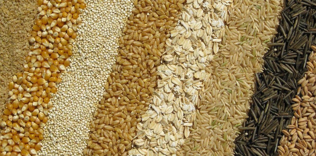 Whole Grains A to Z | The Whole Grains Council