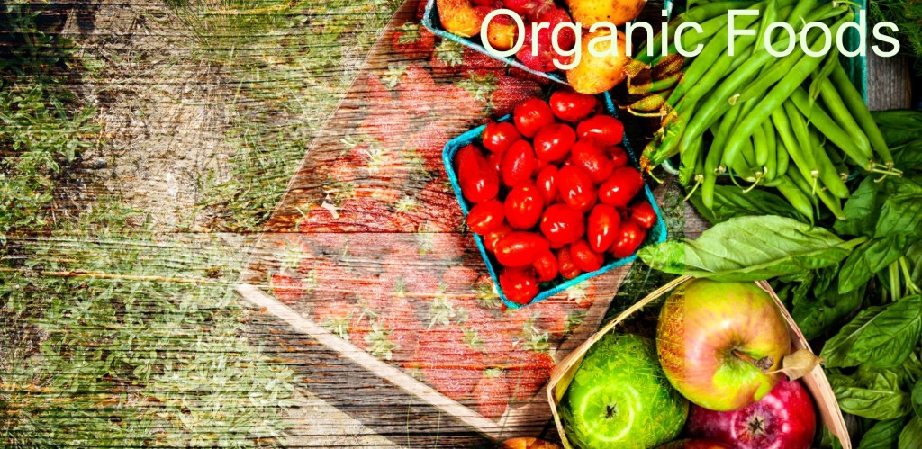 How to Identify the Organic Vegetables How to Identify the Organic Vegetables